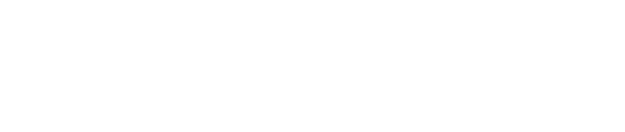 RL CONSULTING